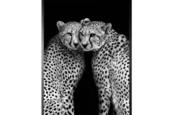 Luxe Framing Art Schilderijen^Art Print Cheeta CHEET-01