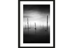 Urban Cotton Schilderijen^Art Print Fall In