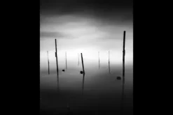 Urban Cotton Schilderijen^Art Print Fall In