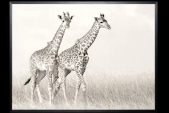 Sale Luxe Framing Art Art Print Giraffen SHI262