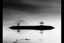 Hot Urban Cotton Art Print Harmony Bali