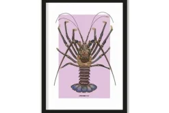 Urban Cotton Schilderijen^Art Print Langosta