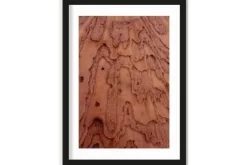 Urban Cotton Schilderijen^Art Print Layered Pink Brains