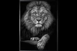 Discount Luxe Framing Art Art Print Leeuwenkop SHB634-TU0