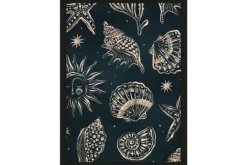 Urban Cotton Schilderijen^Art Print Seashells Midnight