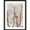 Urban Cotton Schilderijen^Art Print Soft Coral
