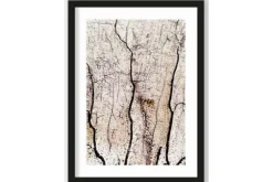 Urban Cotton Schilderijen^Art Print Soft Coral