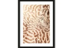 New Urban Cotton Art Print The Brains of the Sea