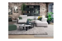 van Dijk Furniture Vakkenkasten|Boekenkasten^Boekenkast Established