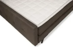 New Sierah Beds Boxspring Jungle Bolta