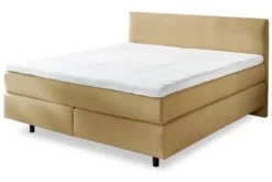Boxsprings^Boxspring Siesta