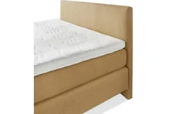 Boxsprings^Boxspring Siesta