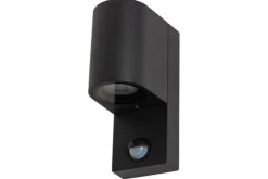 Lucide Buitenlamp Zaro IR
