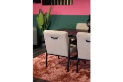 Donc Eetkamerstoelen^Eetfauteuil Duuk