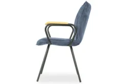 Titan Design Eetkamerstoelen^Eetfauteuil Jussie