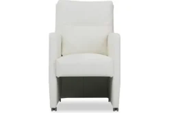 France Eetkamerstoelen^Eetkamer fauteuil Seven