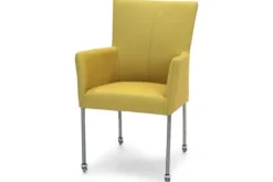 Clearance Titan Design Eetkamer fauteuil Wij