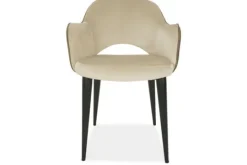Richmond Interiors Eetkamerstoelen^Eetkamerstoel 210412 Alaska Stone Giovanna