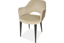 Richmond Interiors Eetkamerstoelen^Eetkamerstoel 210412 Alaska Stone Giovanna