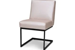 Divani Eetkamerstoelen^Eetkamerstoel Fun