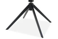 Clearance Royal Home Eetkamerstoel Present 440 Odette