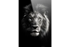 Urban Cotton Schilderijen^Glasschilderij Mighty Lion