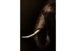 Outlet Ter Halle Glasschilderij Olifant mysterieus 080120-1109