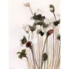 Outlet Urban Cotton Glasschilderij Pastel Flowers