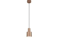 Trio Lighting Hanglampen^Hanglamp Agudo