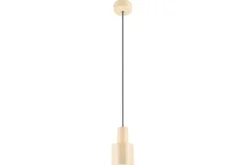 Trio Lighting Hanglampen^Hanglamp Agudo