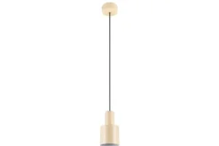 Trio Lighting Hanglampen^Hanglamp Agudo