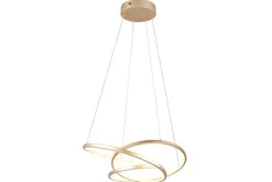 Trio Lighting Hanglampen^Hanglamp Darvin