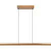 Clearance Lucide Hanglamp  Griffith