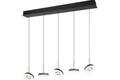 Trio Lighting Hanglampen^Hanglamp  Guano