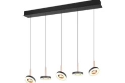 Trio Lighting Hanglampen^Hanglamp  Guano