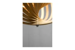 ETH Hanglampen^Hanglamp 05-HL4308-71 Woody |