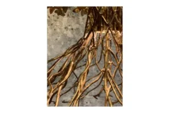 Leclercq & Bouwman Kroonluchters|Hanglampen^Hanglamp LB039/12+1 ambachtelijk brons Aix |