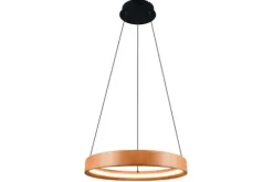 Trio Lighting Hanglampen^Hanglamp  Lynwood