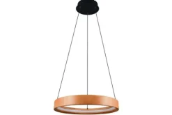 Trio Lighting Hanglampen^Hanglamp  Lynwood