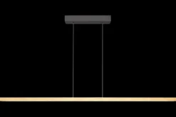 Masterlight Hanglampen^Hanglamp Real 3