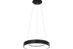 Steinhauer Hanglampen^Hanglamp 2695ZW Ringlede