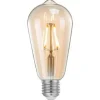 Label51 Lichtbronnen^Kooldraadlamp Peer LED MT-2211