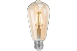 Label51 Lichtbronnen^Kooldraadlamp Peer LED MT-2211
