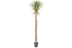 By-Boo Decoratie^Kunstplant 403124 Agave