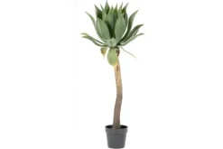 Best By-Boo Kunstplant 403091 Agave