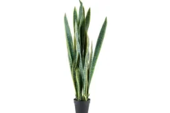 Hot By-Boo Kunstplant 405117 Sanseveria