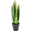 By-Boo Decoratie^Kunstplant 405116 Sanseveria