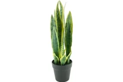 By-Boo Decoratie^Kunstplant 405116 Sanseveria