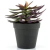 Clearance By-Boo Kunstplant 403114 Vetplant