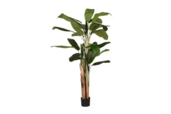 Label51 Kunstplant Musa DS-54.003